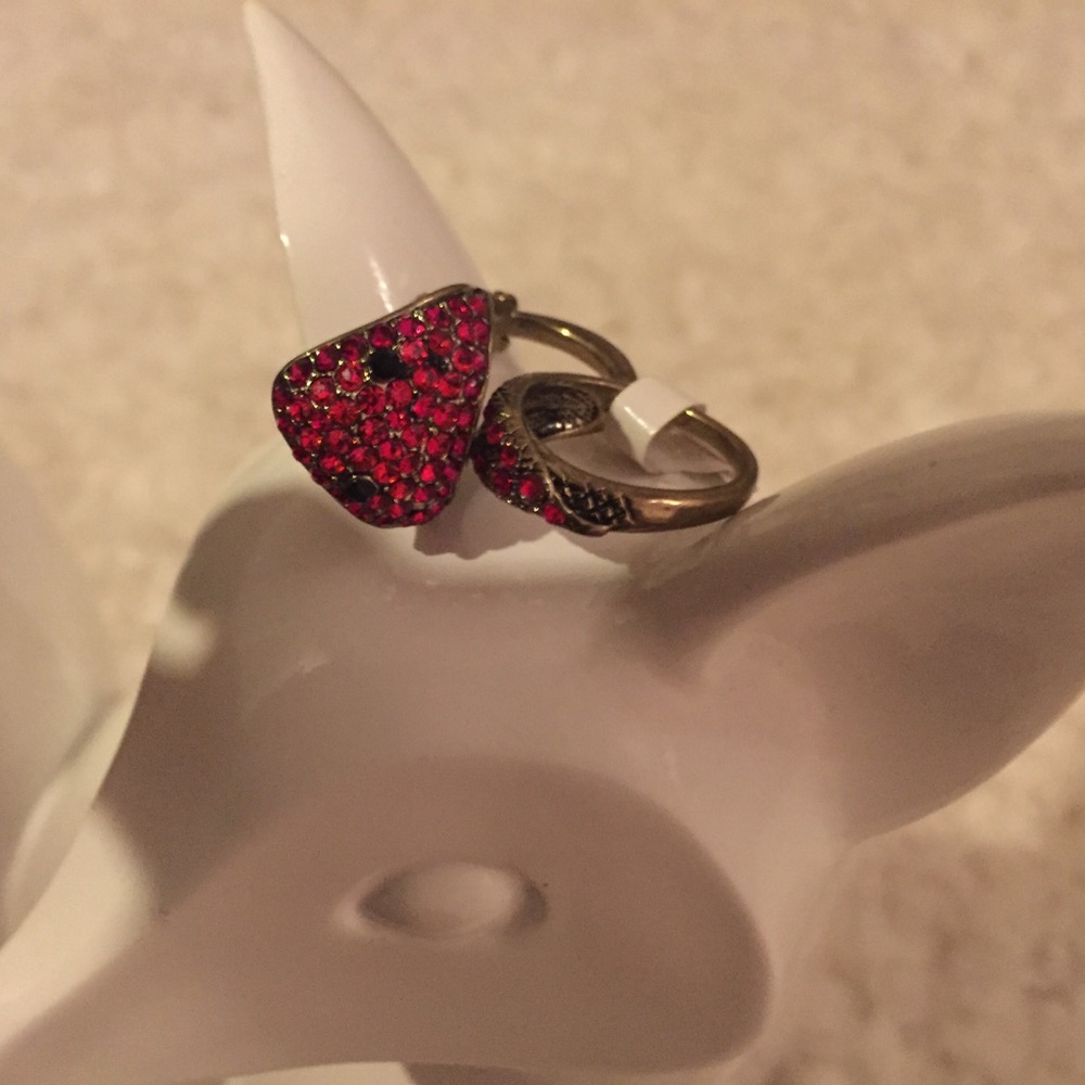 Women double wrap around snake bling ring